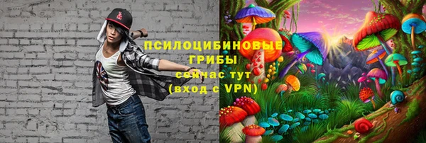 не бодяженный Нязепетровск