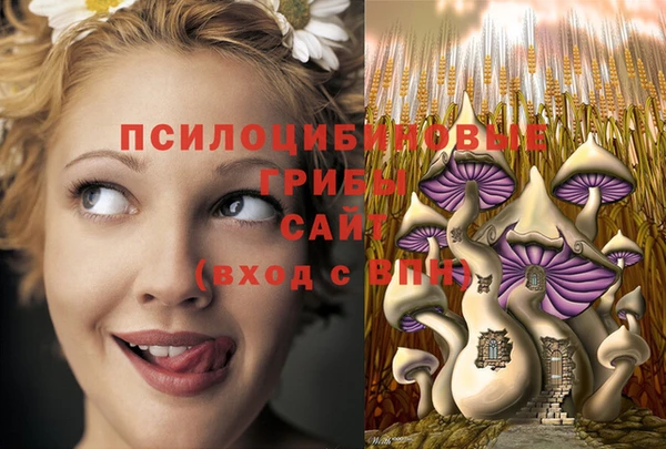 не бодяженный Нязепетровск