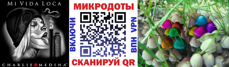 shop телеграм  МЕГА ONION  Нижняя Тура  где купить наркоту  Псилоцибиновые грибы Cubensis 